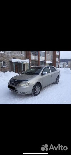 Аренда авто
