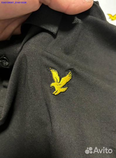 Lyle Scott: поло для стильных и смелых