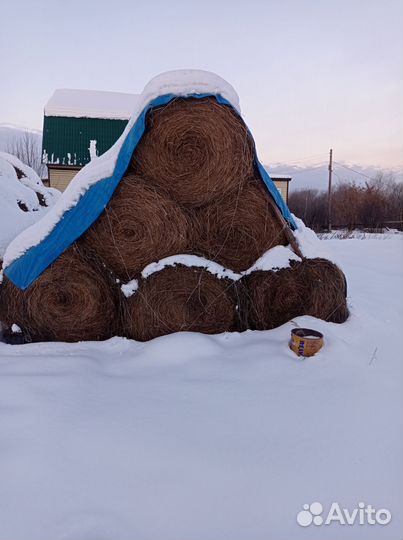 Сено в тюках