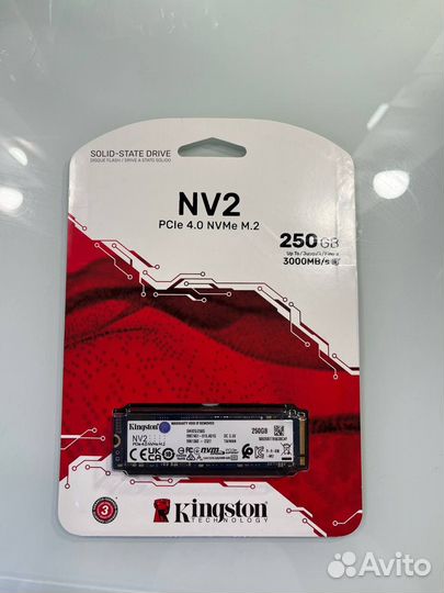 Kingston nv2 250