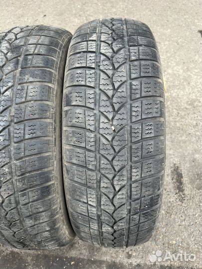 Tigar Winter 1 185/65 R15 92T