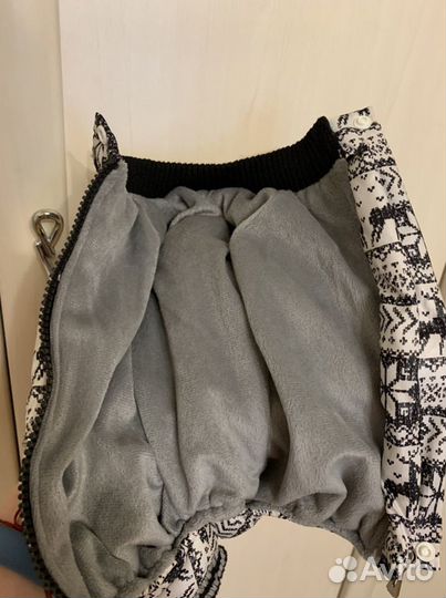 Домашние животные