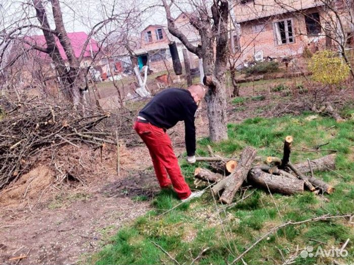 Вывоз мусора, спил деревьев, демонтаж