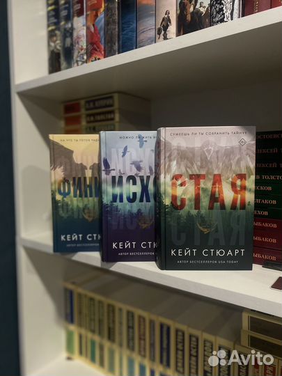 Кейт Стюарт. Стая. Исход. Финиш