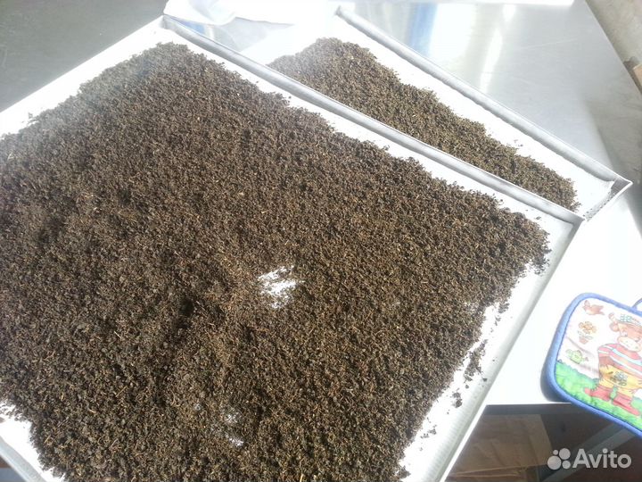 Кипрей (Иван чай)