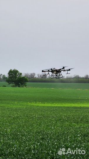 Опрыскивание полей агродронами