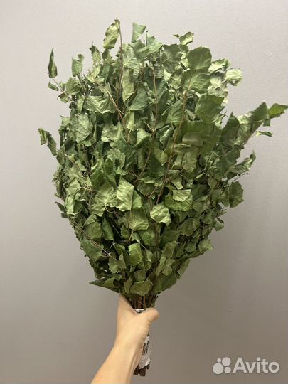 Папины березовые Веники