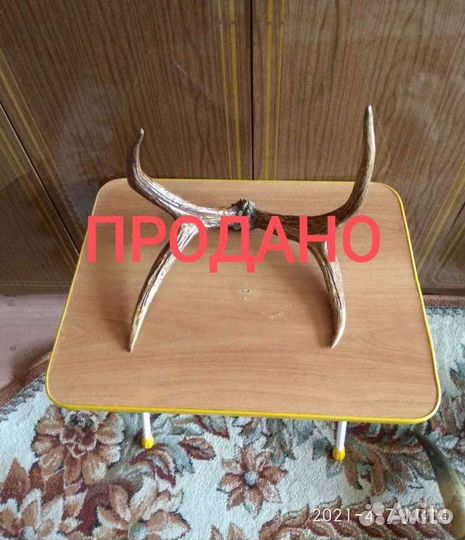 Рога разные