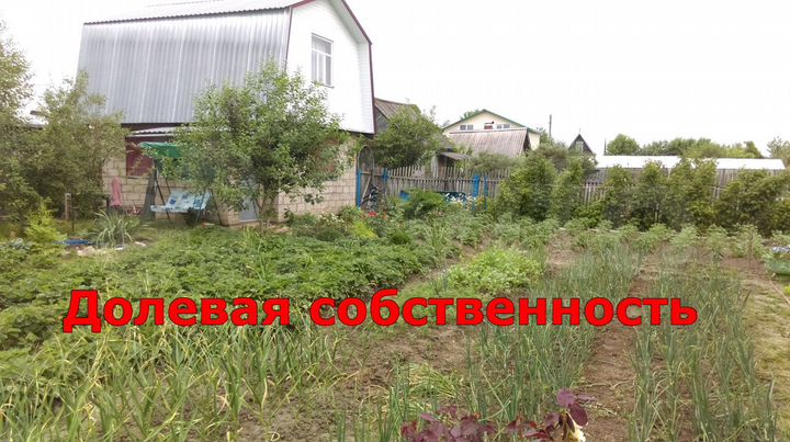 Участок 2,5 сот. (СНТ, ДНП)