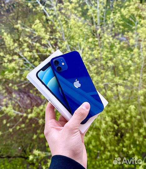 iPhone 12, 128 ГБ