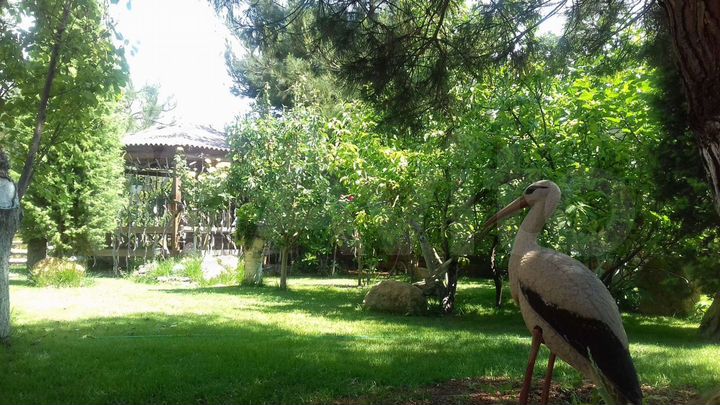 Комната 26 м², 1/2 эт.