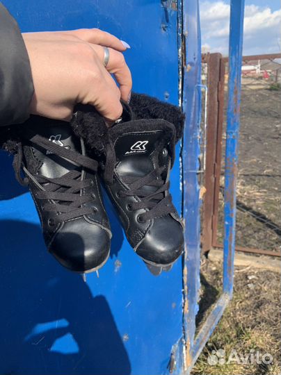 Коньки двухполозые