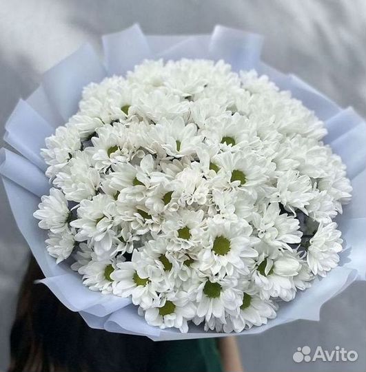 Доставка букетов и цветов. Хризантема