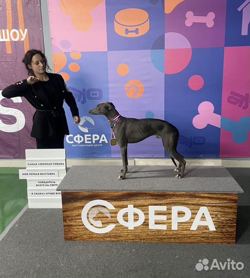 Услуги хендлера