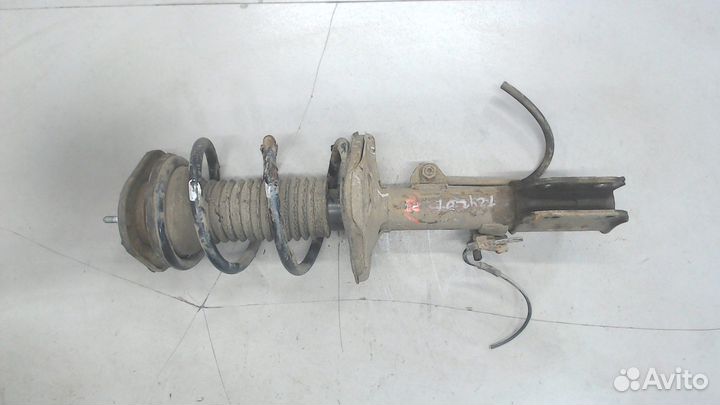 Амортизатор подвески Toyota Corolla Verso, 2005