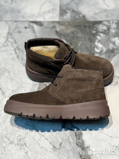 Ботинки угги мужские Ugg