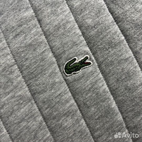 Свитшот Lacoste