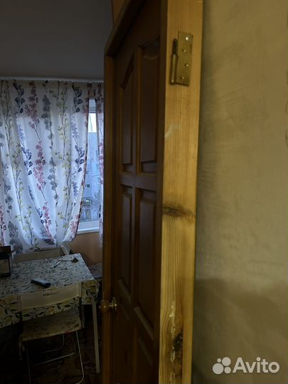 Коробка дверная и дверь с наличниками