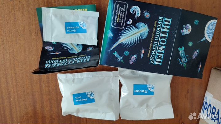 Детская игра. Набор для выращивания живых рачков