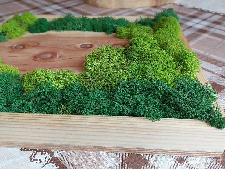 Панно из спила туи и стабилизированного мха