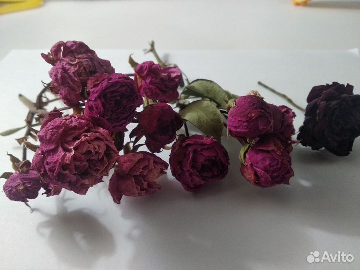 Розы сухие для творчества