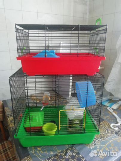 Клетки