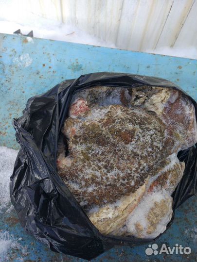 Рубец-натуральная еда для питомцев