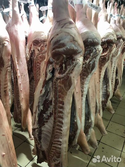 Мясо. Отруба. Туши. Ливера. Охл и Зам. Опт