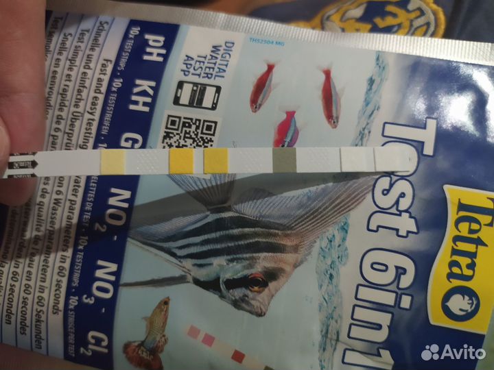 Тесты для аквариума