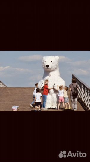 Аниматор Белый Мишка и Панда