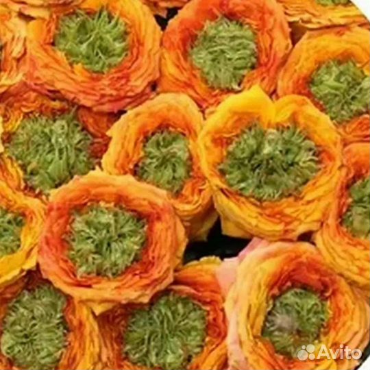 Роза Гудини