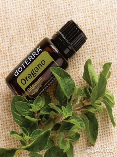 Dottera на розлив по 10 мл