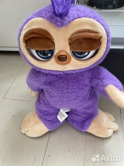 Танцующий ленивец