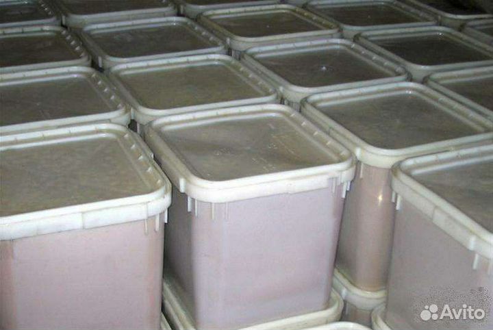 Мед подсолнечный оптом