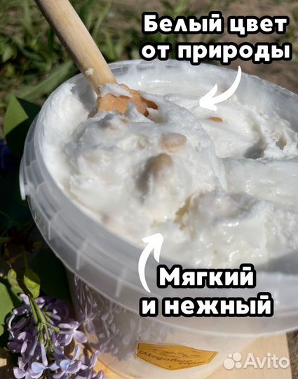 Кедровый мед с пасеки