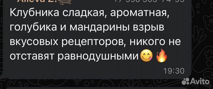 Клубника, ягода опт розница