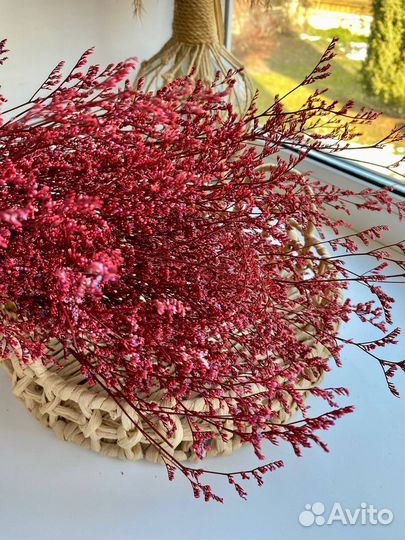 Кермек стабилизированный в ассортимерте