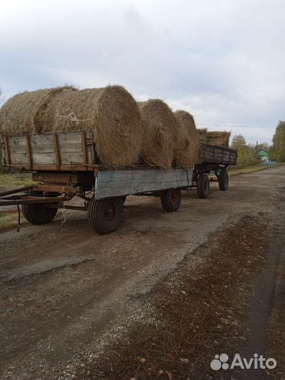 Сено в рулонах