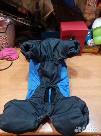 Одежда для животных