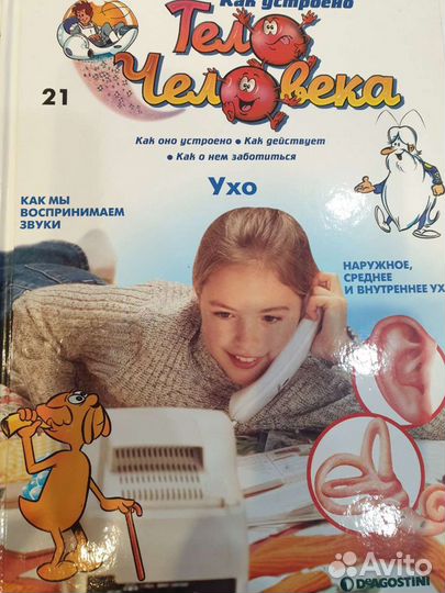 Тело Человека, развивающие книги для детей