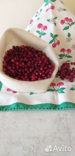 Клюква отборная