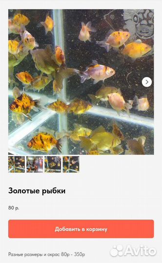 Аквариумные рыбки