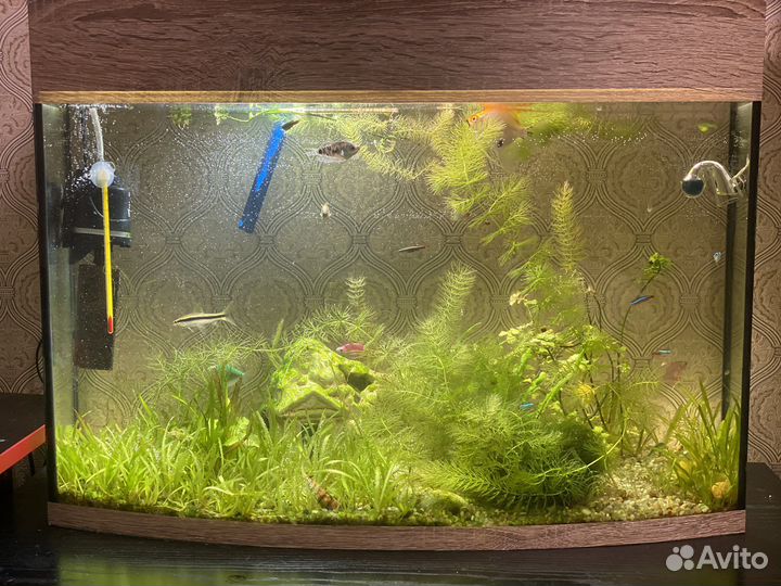 Аквариум 60л