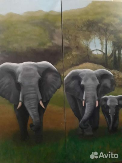 Зерно пшеница