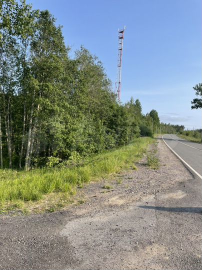 Участок 4,5 га (СНТ, ДНП)