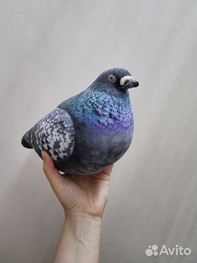 Продажа голубей