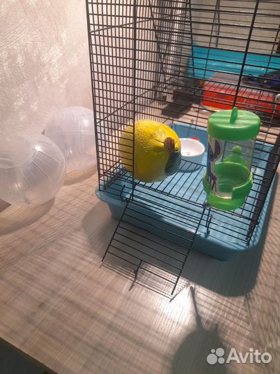 Клетка для хомяка