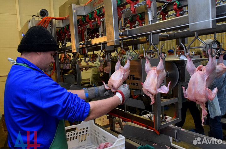 Упаковщик на птицефабрику