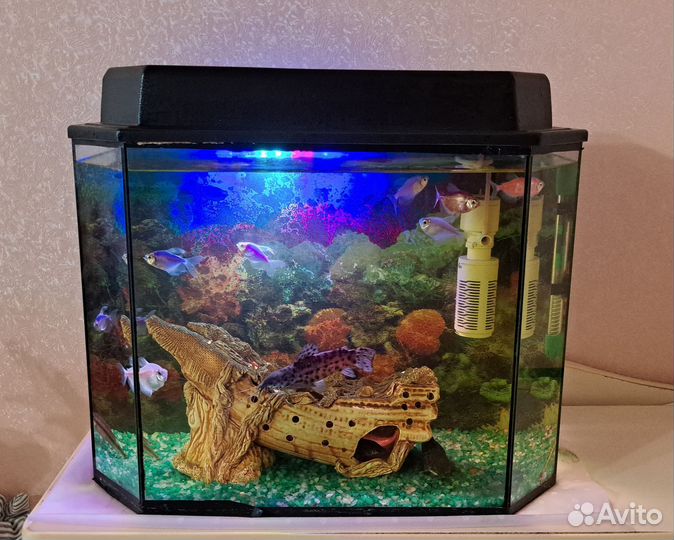 Аквариум