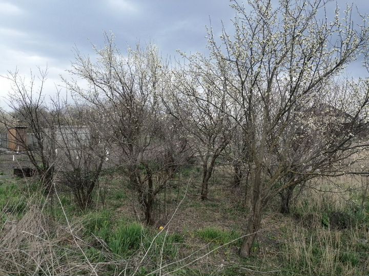 Участок 27 сот. (ИЖС)